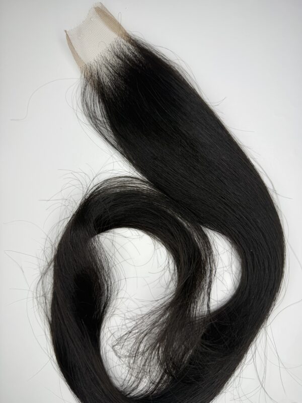 Ewa Experience Raw Filipino Hair HD Closures